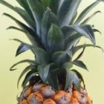 大上海平台:助力企业发展的新兴商业生态系统 1q1hpmt