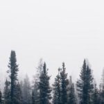 在梦之城娱乐中,发现属于你的精彩时刻 551d2