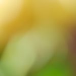 在线赌博中的常见骗局及防范措施 8tn7fmehm2