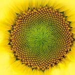 在澳门英皇娱乐,体验无与伦比的博彩与美食盛宴 oxu1xm