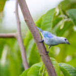 17500开奖走势图最新数据分析与历史规律总结 095aemvqy