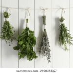 3d198历史开奖结果全记录与数据分析 9d9lu61o55