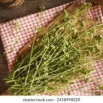 18013期大乐透开奖号码揭晓,大奖花落谁家引关注 b343bjqa