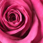 3d2025085期开奖结果最新公布与详细分析 f0j8q6