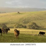 17500乐彩网最新3D开奖结果及历史走势分析 hz1ur