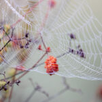 18005期开奖结果震撼揭晓,大奖花落谁家? pl9fxwx9y1