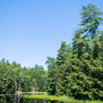 3d180期历史开奖结果查询与完整数据汇总分析 w5n3knnjyx